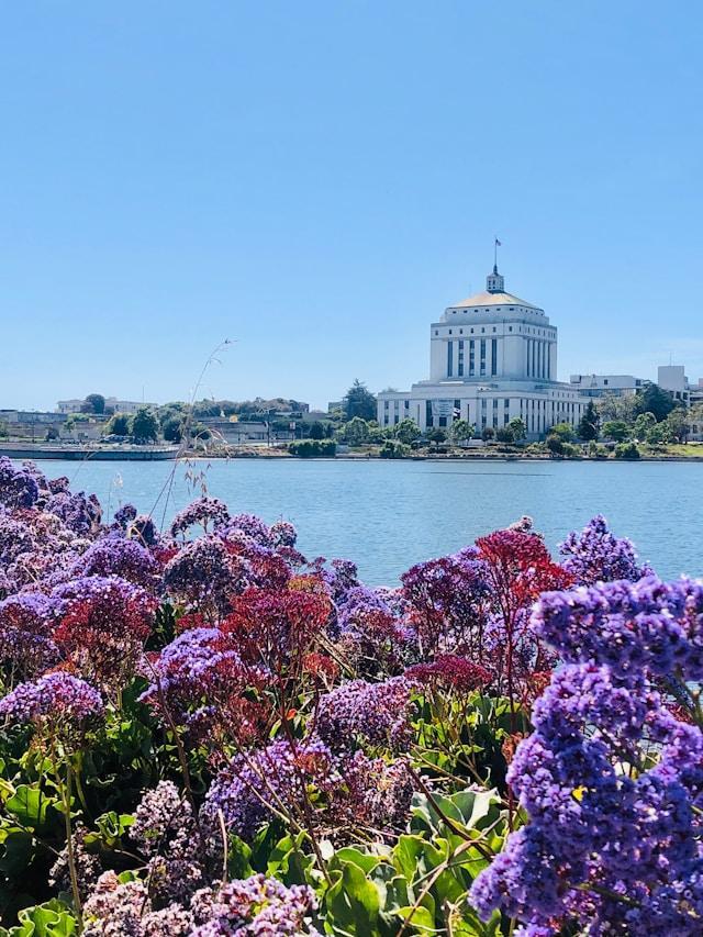 Oakland2.jpg